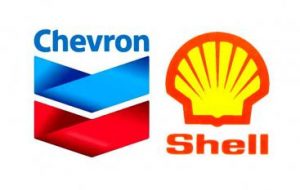chevron-shell